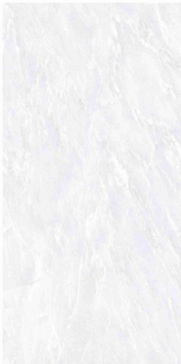 OL Vivid White Polished 12 x 24